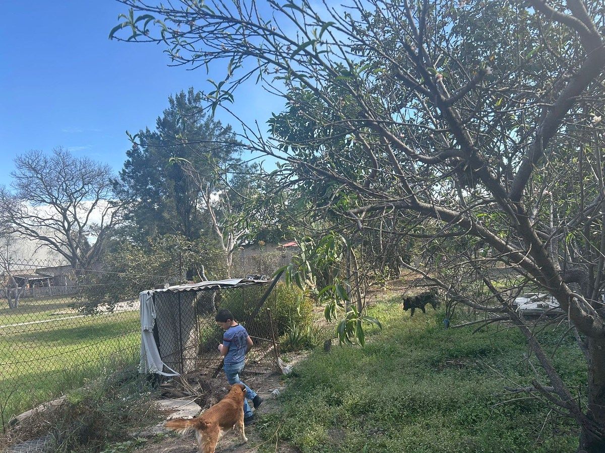 Lote em La Llave, Tlaquepaque, foto 4 de 17
