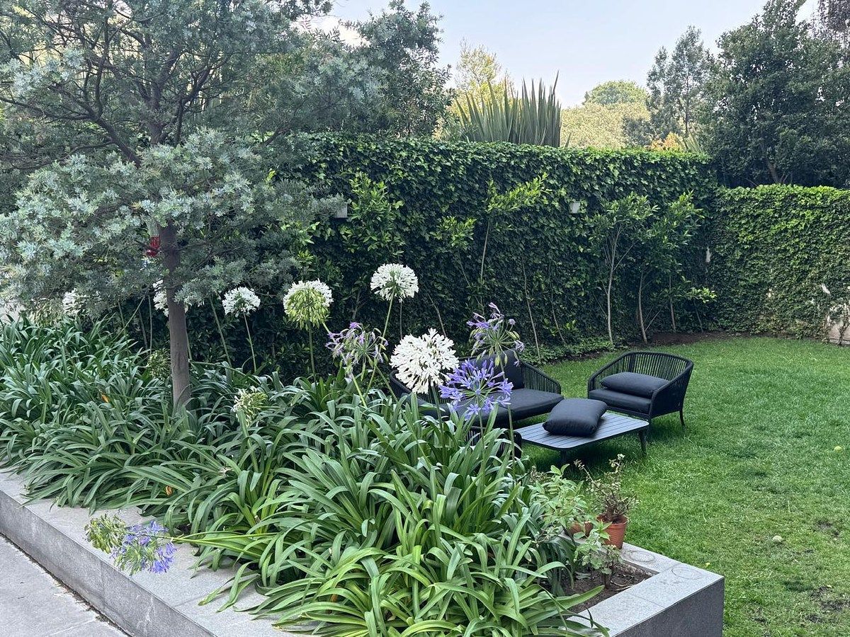 Departamento en Lomas de Vista Hermosa, Cuajimalpa de Morelos, foto 6 de 27