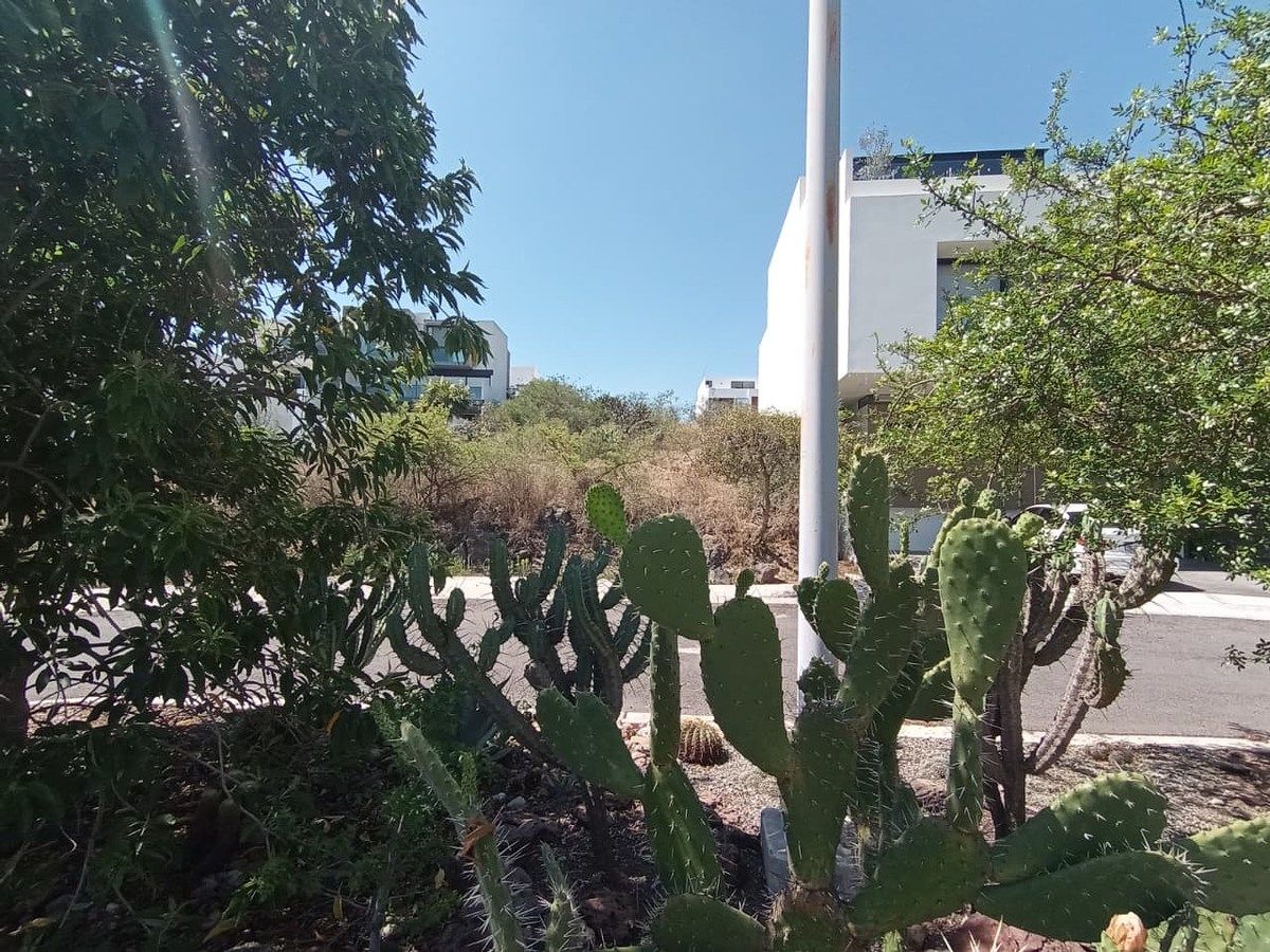 Lot in Zibatá, El Marqués, photo 4 of 7
