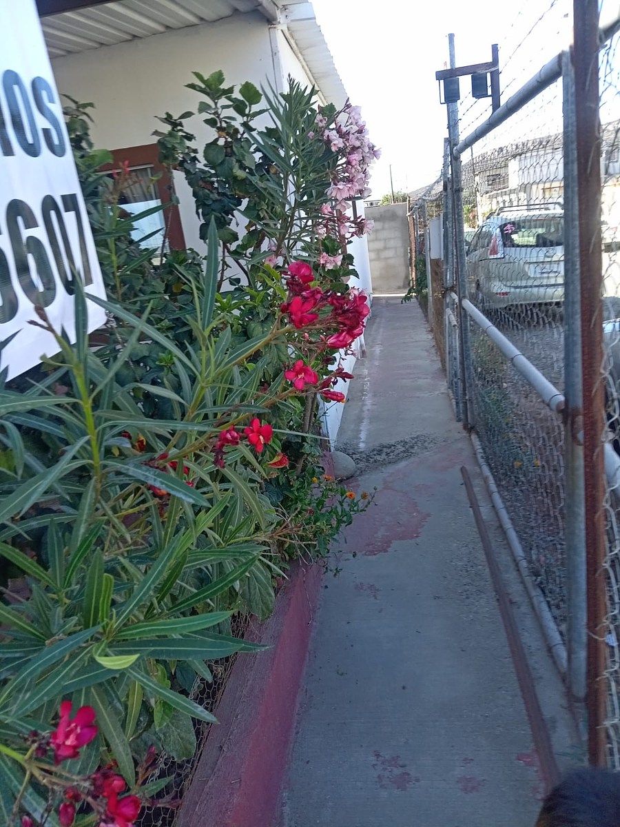 Casa en Adolfo Ruiz Cortines, Ensenada, foto 7 de 7
