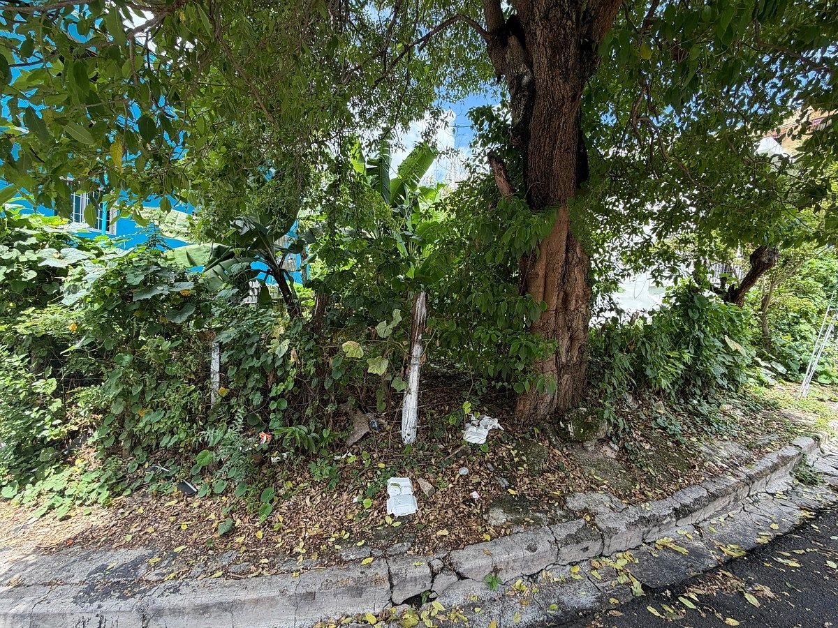 Terreno en Santo Domingo Centro (Distrito Nacional), foto 2 de 2