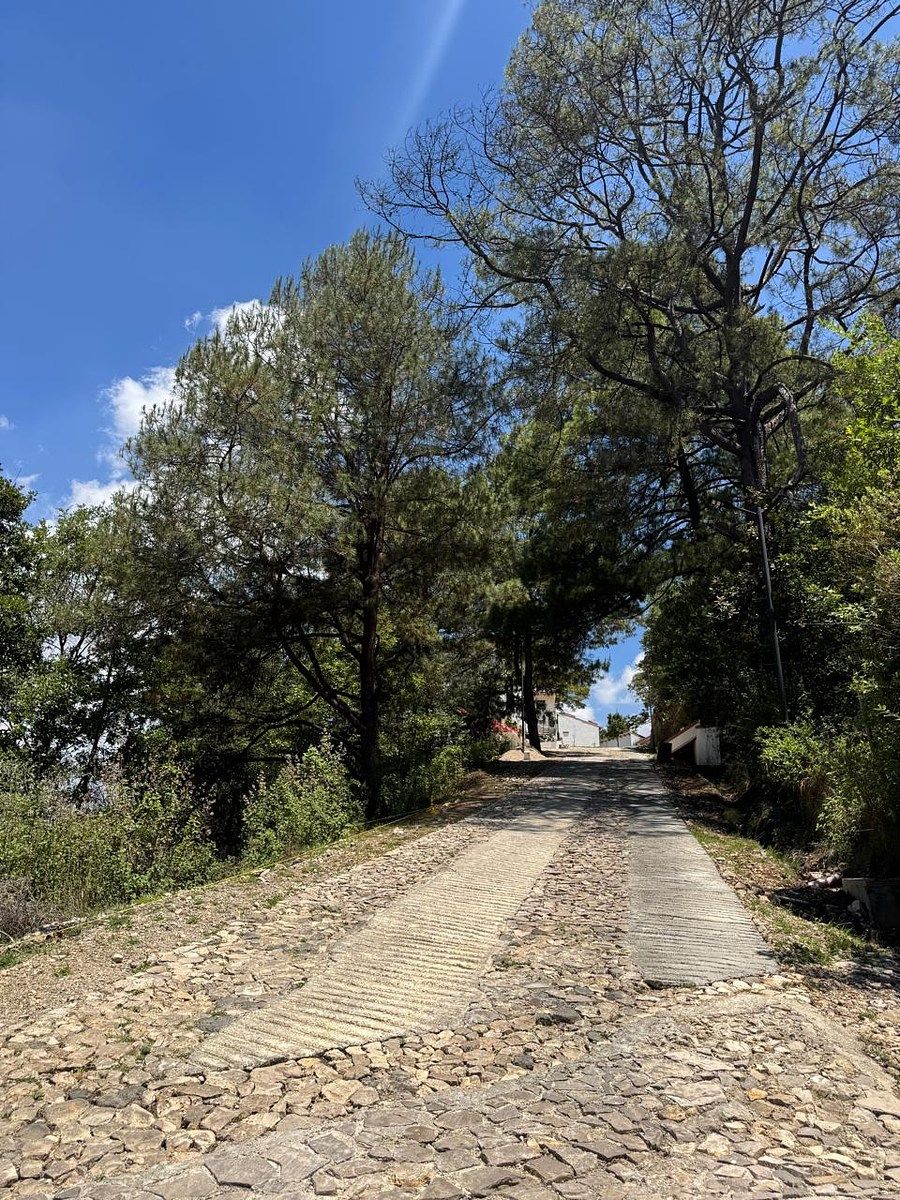 Lote em San Nicolás, San Cristóbal de Las Casas, foto 11 de 20