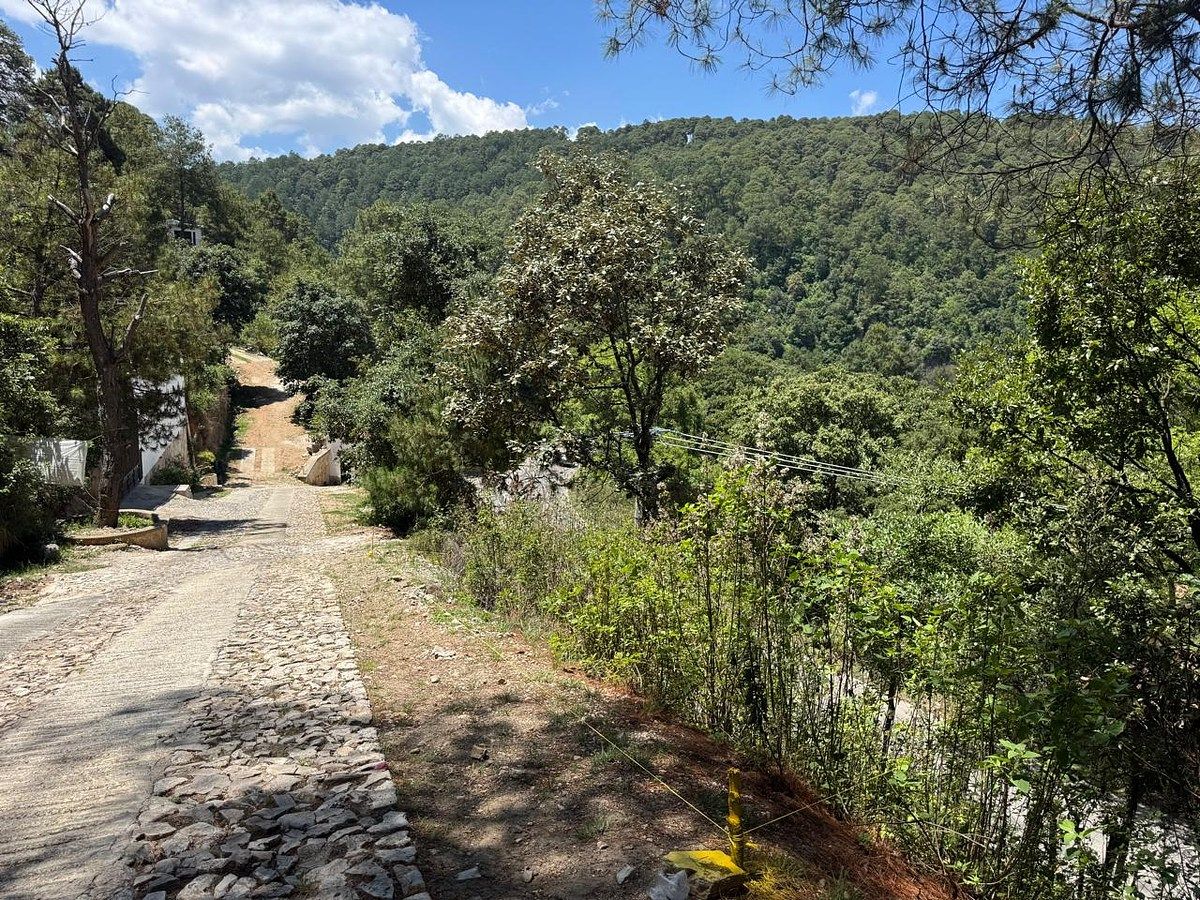 Lote em San Nicolás, San Cristóbal de Las Casas, foto 14 de 20