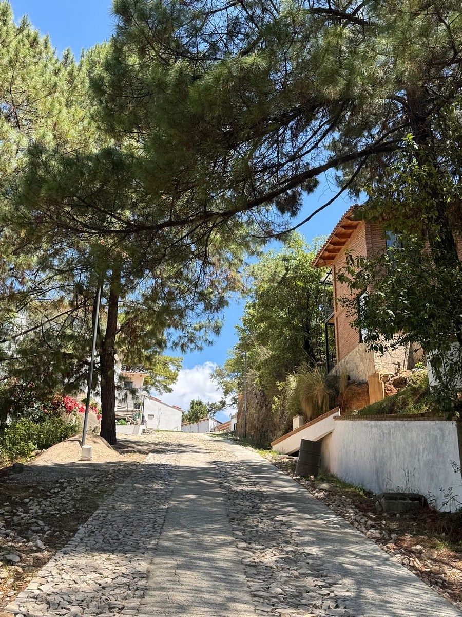 Lote em San Nicolás, San Cristóbal de Las Casas, foto 15 de 20