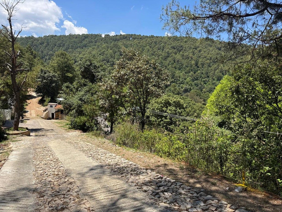 Lote em San Nicolás, San Cristóbal de Las Casas, foto 16 de 20