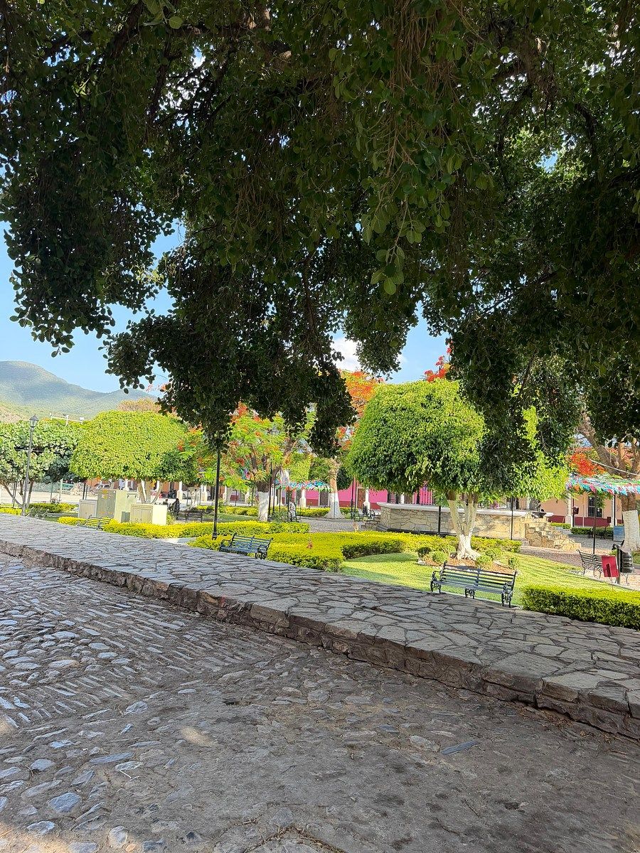 Terreno en Metztitlán Centro, Metztitlán, foto 6 de 18