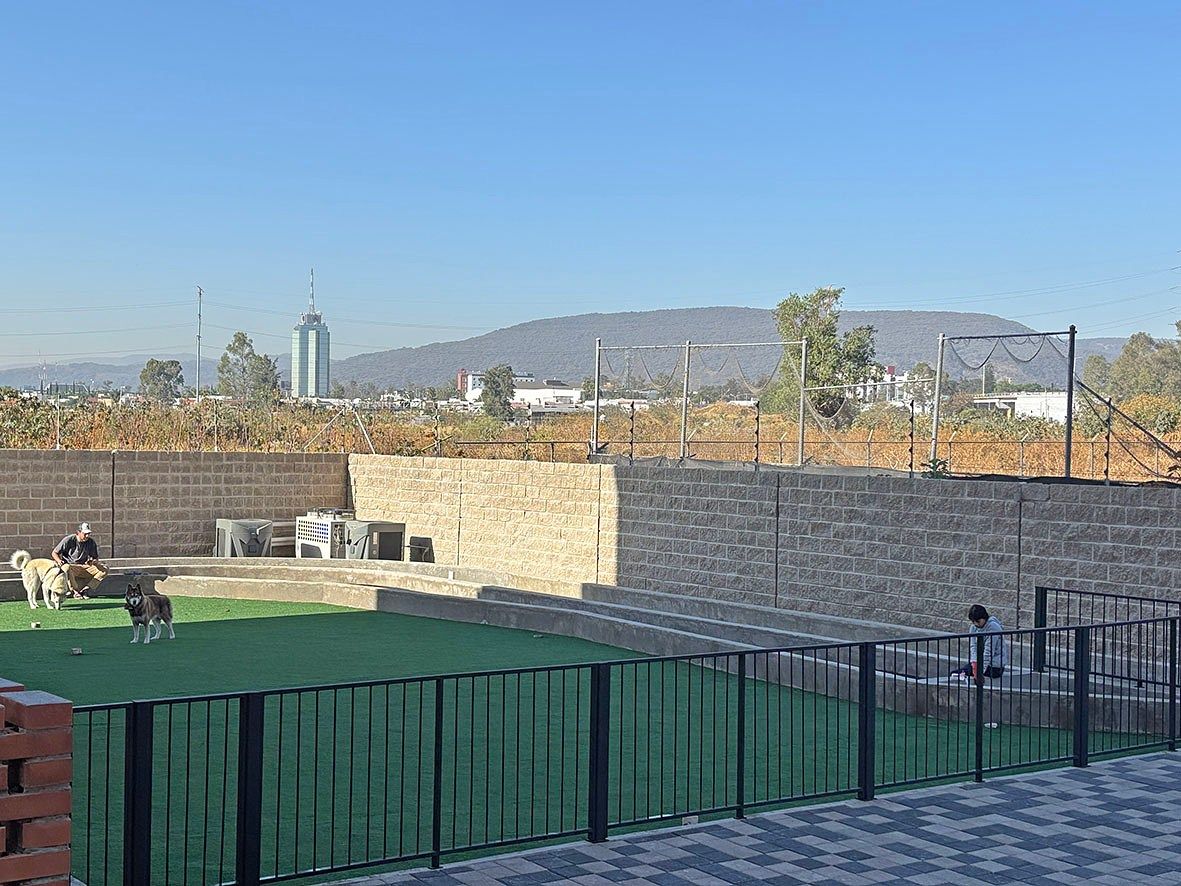 Apartment in Los Castaños, Zapopan, photo 19 of 25