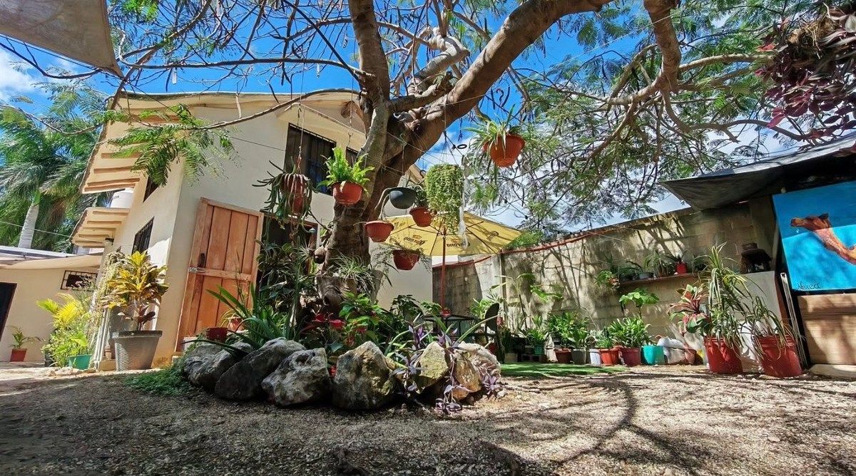 Casa en Playa del Carmen, Playa del Carmen, foto 3 de 16