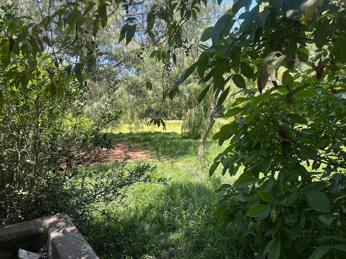 Lot in Cacalomacán, Toluca, photo 8 of 11