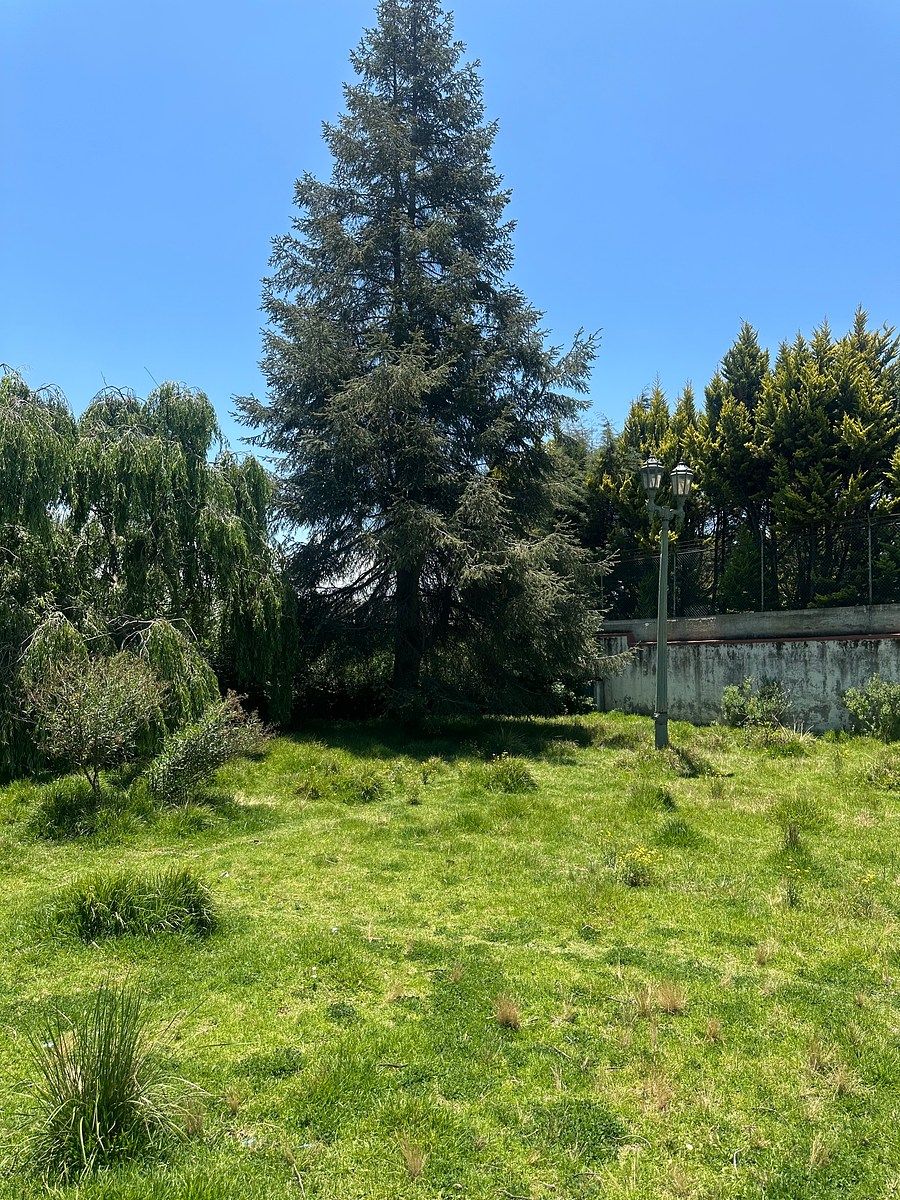 Lot in Cacalomacán, Toluca, photo 11 of 11