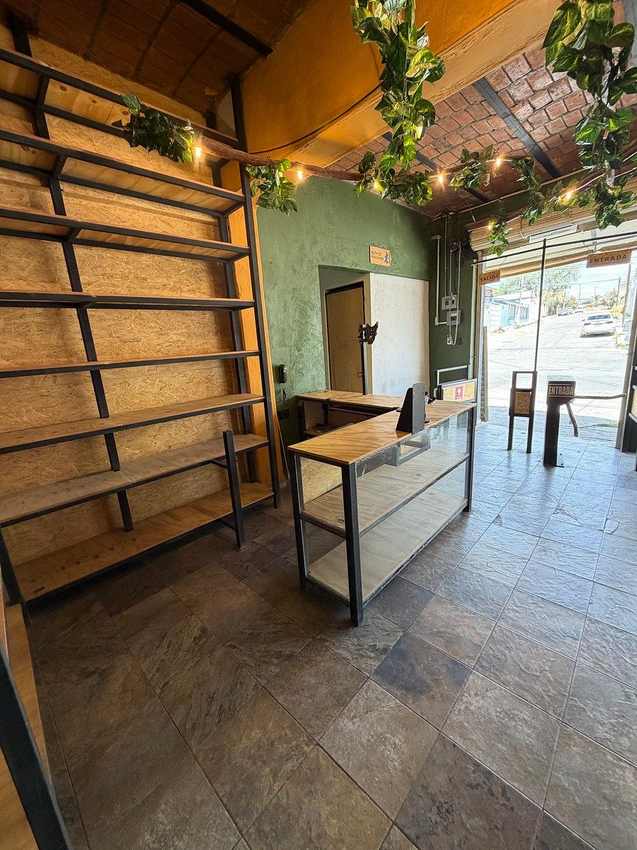 Retail Space in Agua Clara, Aguascalientes, photo 6 of 12