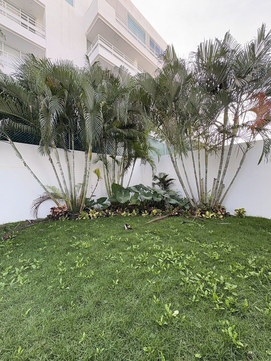 Casa em Montebello, Mérida, foto 10 de 34