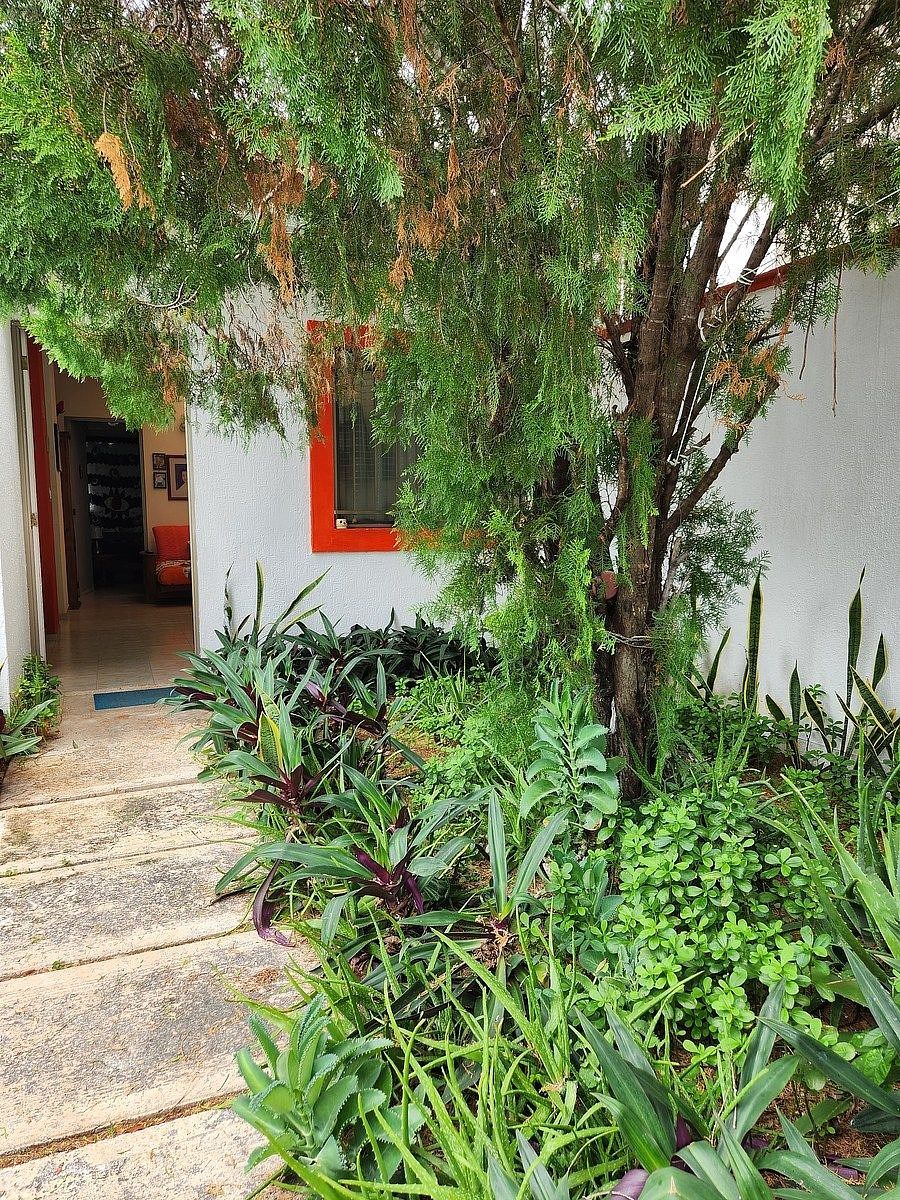 Casa en Las Américas, Mérida, foto 6 de 14