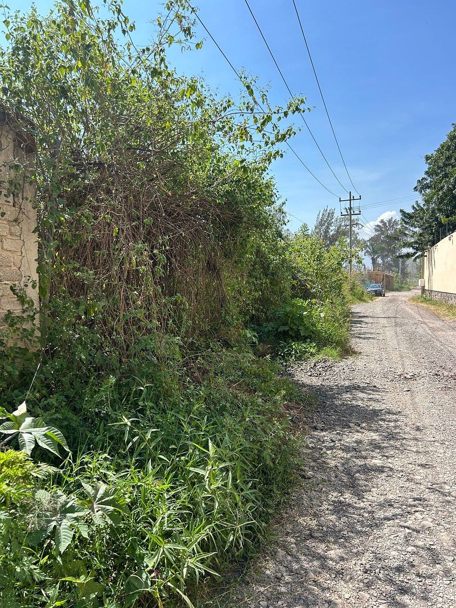 Terreno industrial en Jardines de La Calera, Tlajomulco de Zúñiga, foto 15 de 15