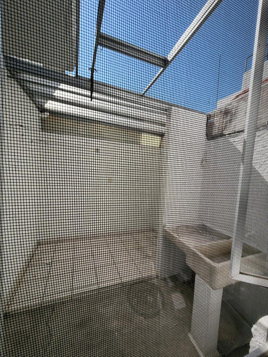 House in El Sauz, Tlaquepaque, photo 7 of 17