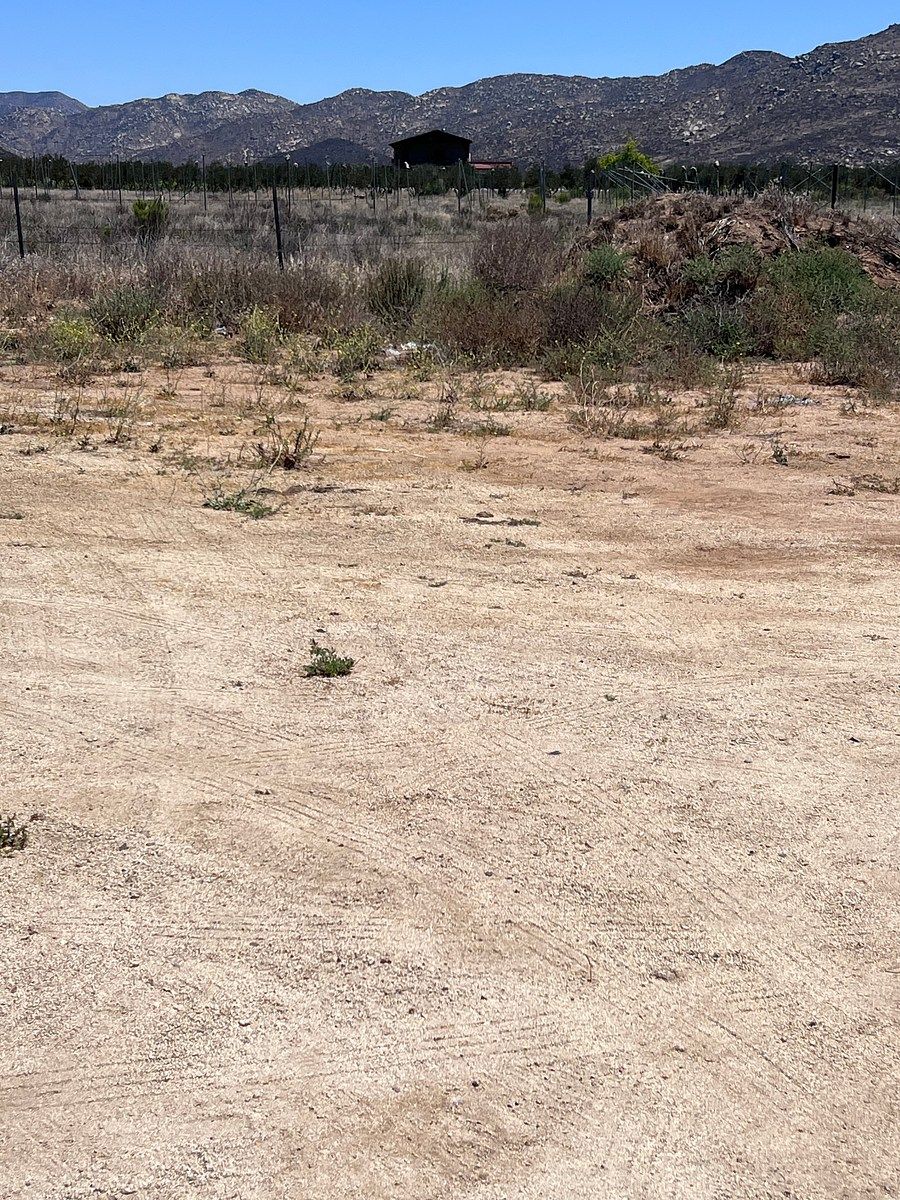 Terreno en Francisco Zarco, Ensenada, foto 6 de 13