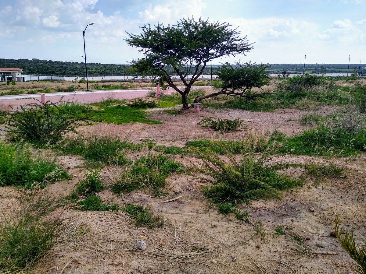 Lot in Ciudad Maderas, Lagos de Moreno, photo 5 of 11