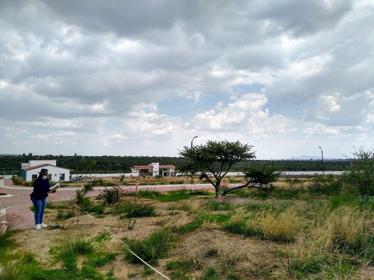 Lot in Ciudad Maderas, Lagos de Moreno, photo 11 of 11