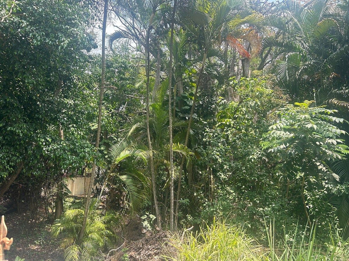 Casa em San Miguel, Berriozábal, foto 23 de 25