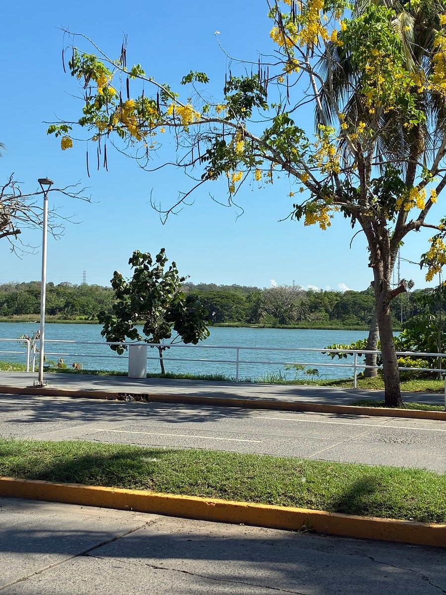 Lot in Del Valle, Tuxpan, photo 4 of 9