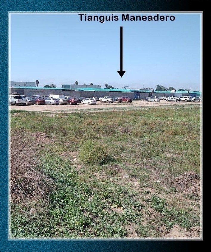 Lote em Maneadero, Ensenada, foto 3 de 7