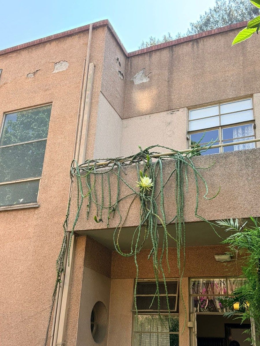 Casa en Guadalupe Inn, Álvaro Obregón, foto 15 de 24