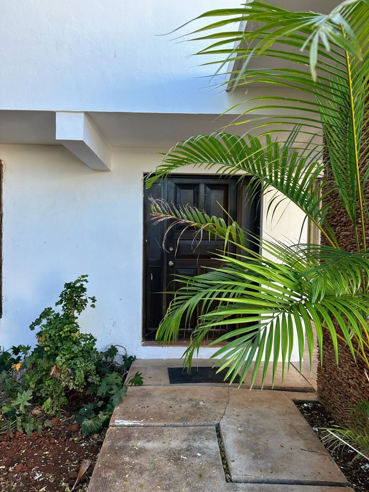 House in Buenavista, Mérida, photo 3 of 27