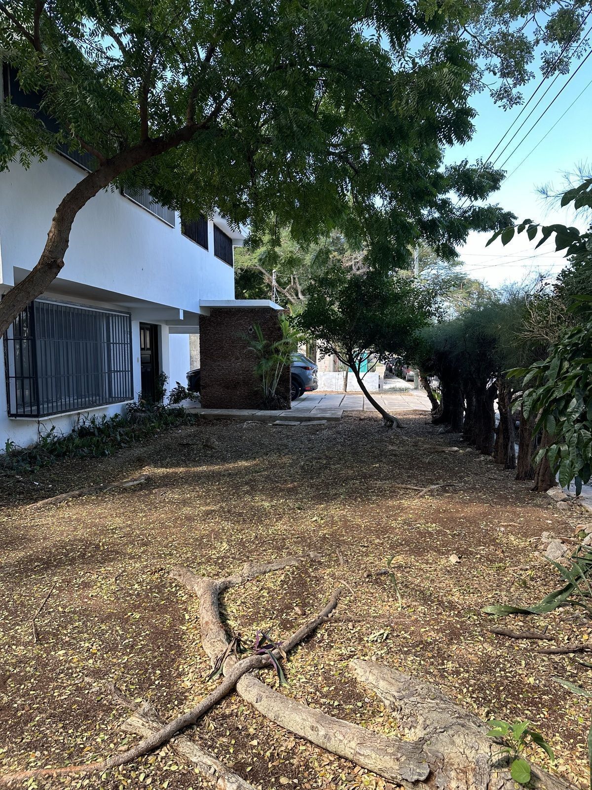 House in Buenavista, Mérida, photo 25 of 27