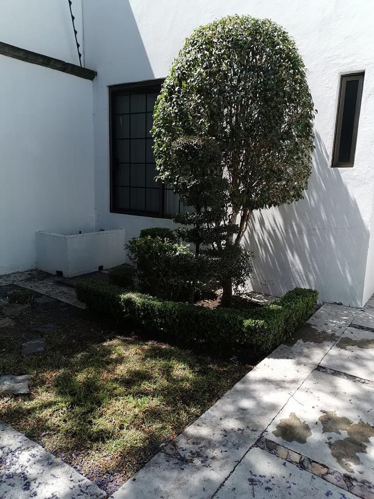 House in Álamos 2a Sección, Querétaro, photo 12 of 23