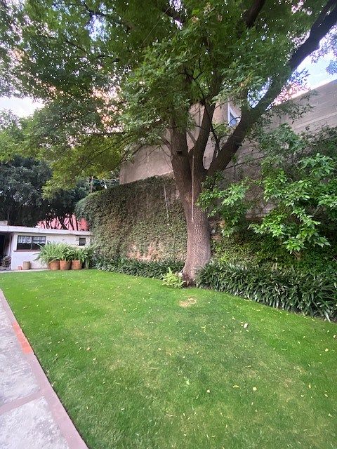 Casa en Los Alpes, Álvaro Obregón, foto 17 de 20