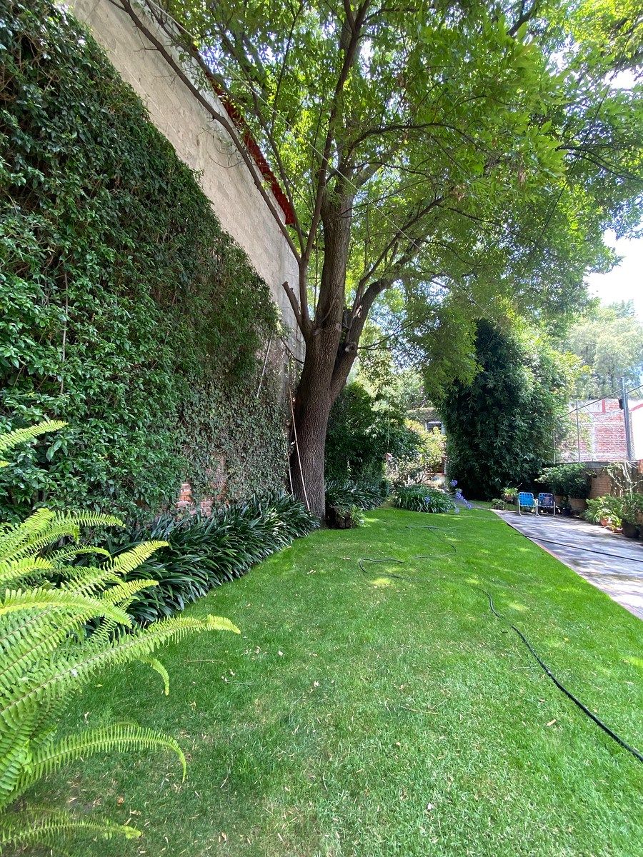 Excelente oportunidad. Venta colonia Los Alpes, foto 1 de 20