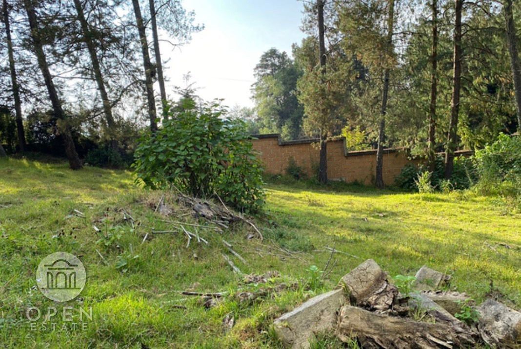 Lot in San Mateo Acatitlán, Valle de Bravo, photo 9 of 16