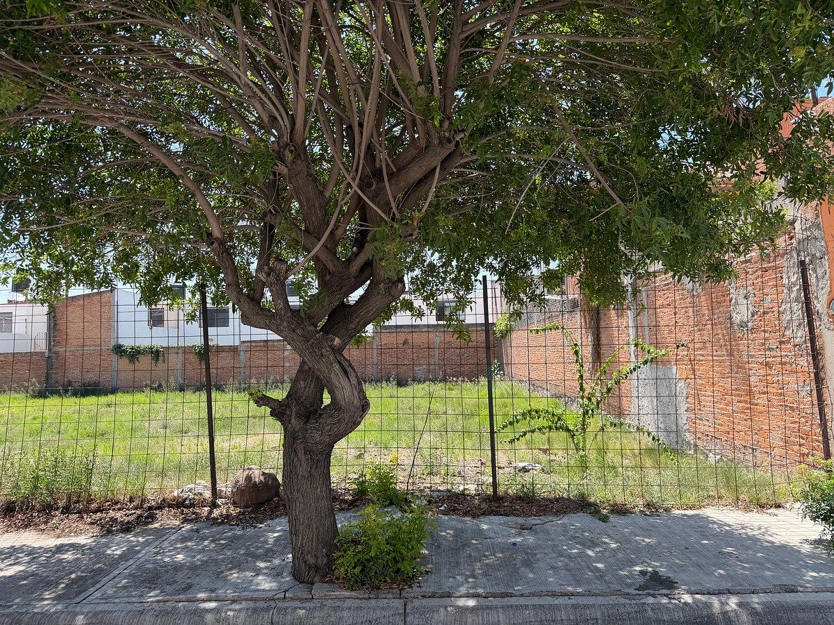 Terreno en Lomas 4a Sección, San Luis Potosí, foto 3 de 3