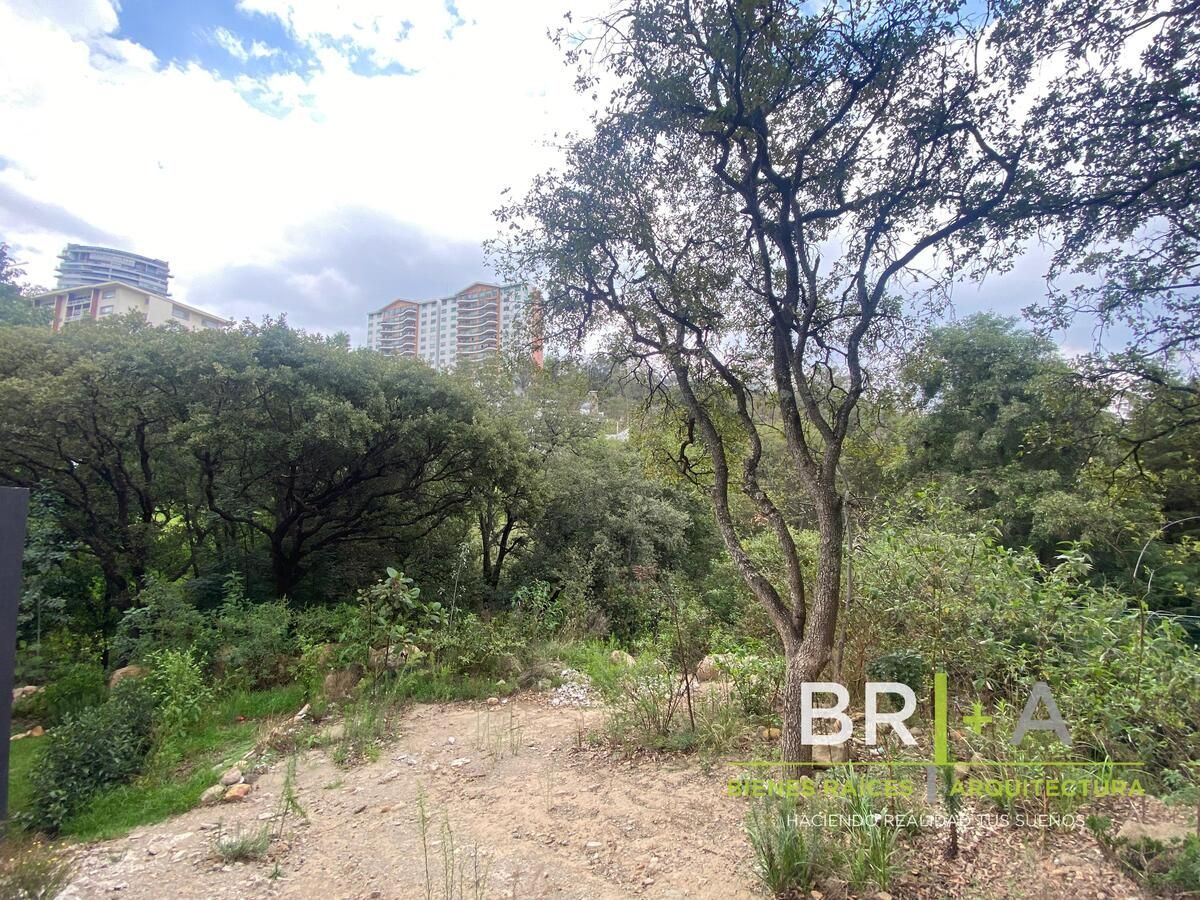 Sale of Land in Bosque Real, photo 1 of 18