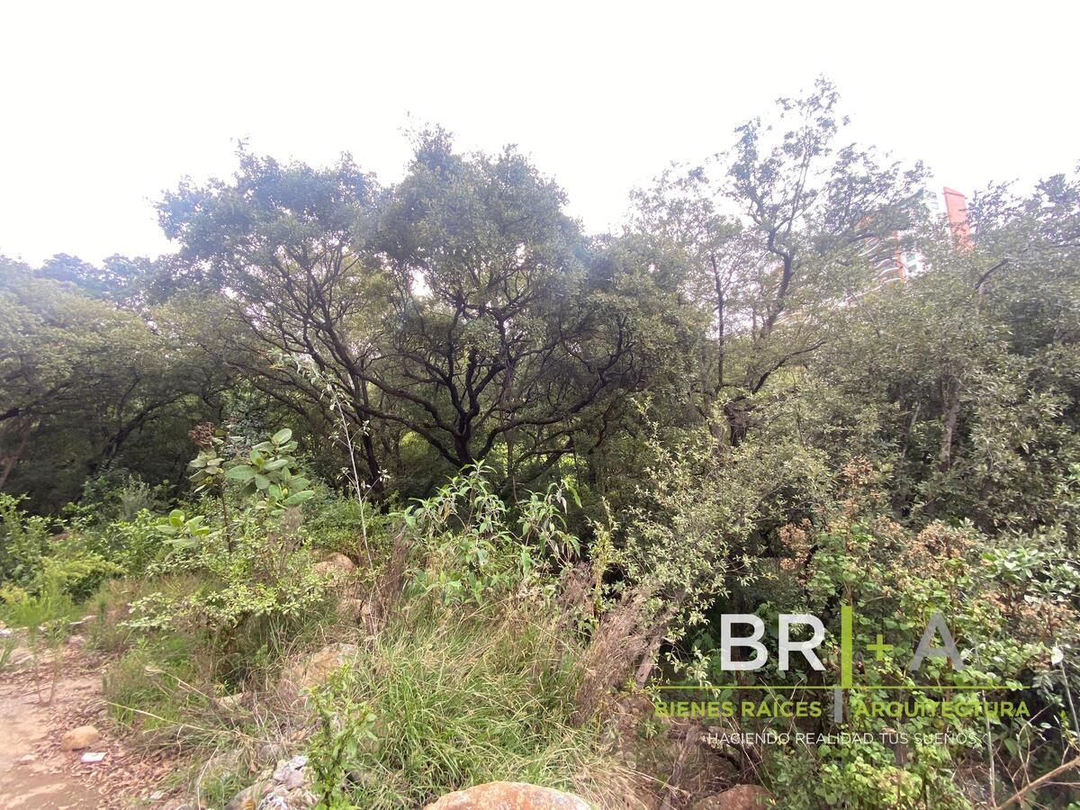 Lot in Bosque Real, Huixquilucan, photo 5 of 18