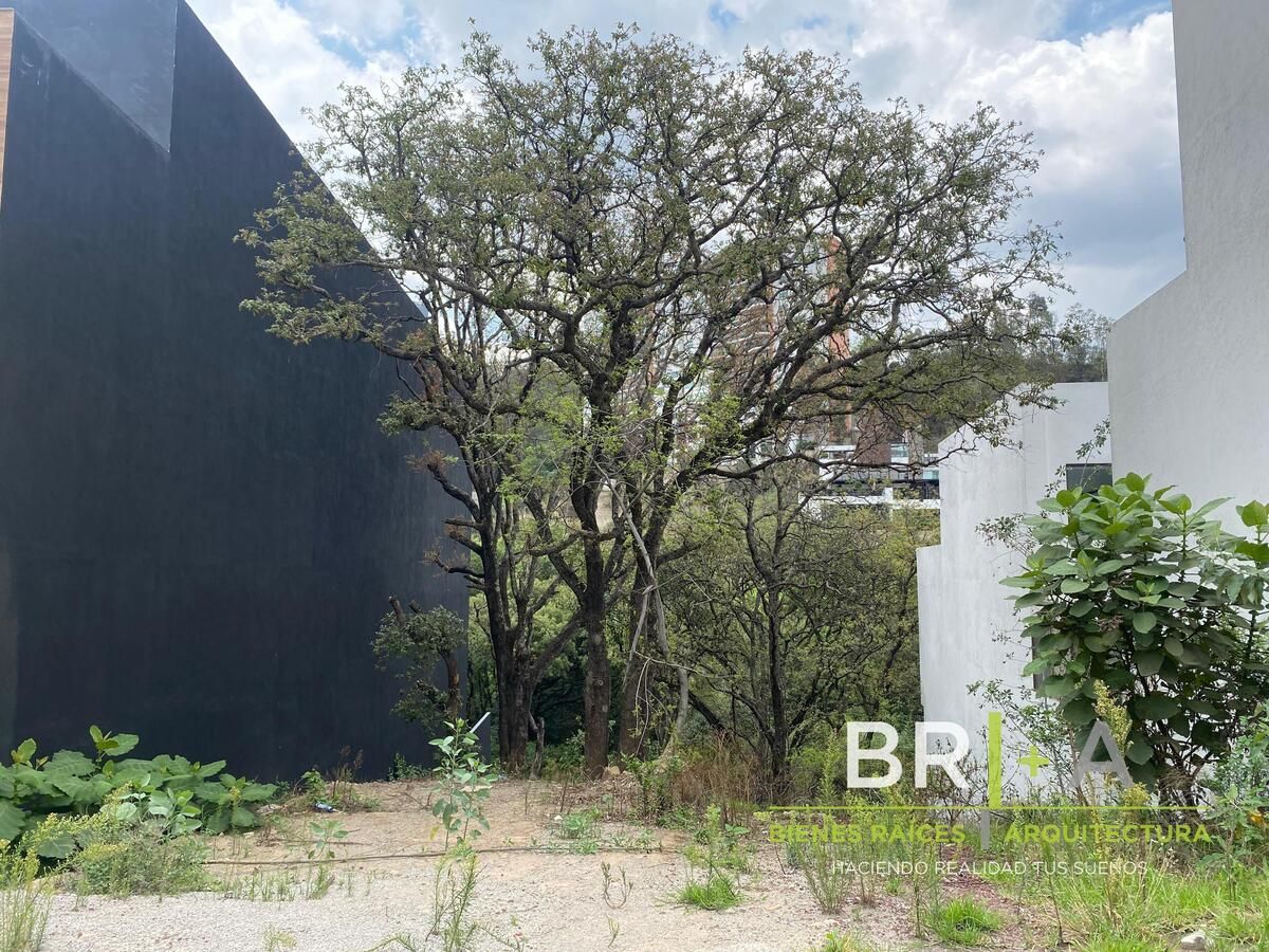 Lot in Bosque Real, Huixquilucan, photo 7 of 18