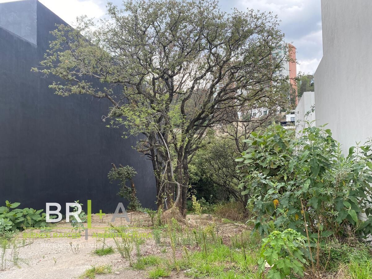 Lot in Bosque Real, Huixquilucan, photo 9 of 18