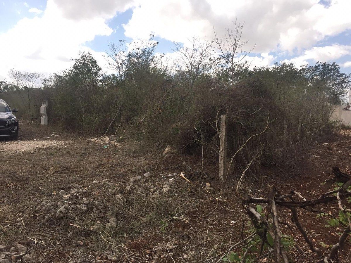 Lot in Villas Cholul, Mérida, photo 2 of 4