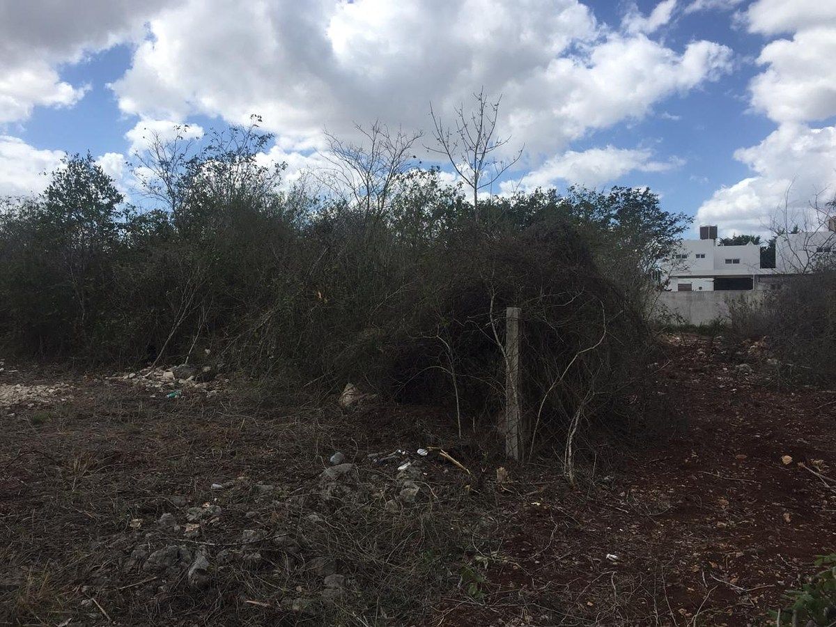 Lot in Villas Cholul, Mérida, photo 3 of 4