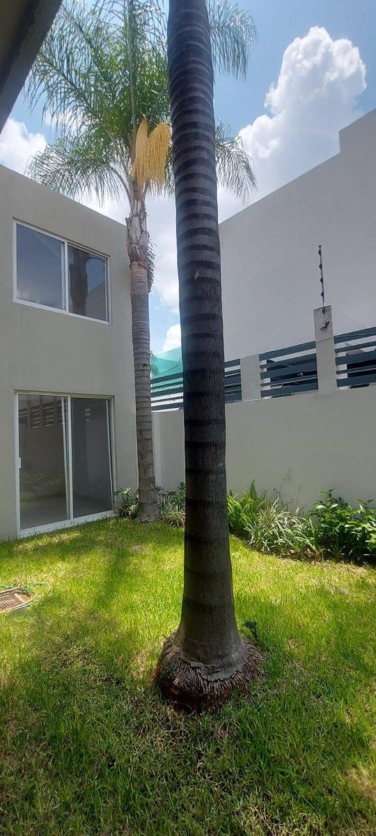 Casa en Jardín Real, Zapopan, foto 5 de 34