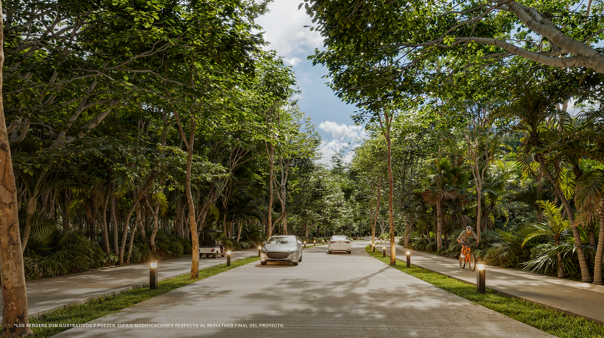 Lote em Playa del Carmen, Playa del Carmen, foto 19 de 23