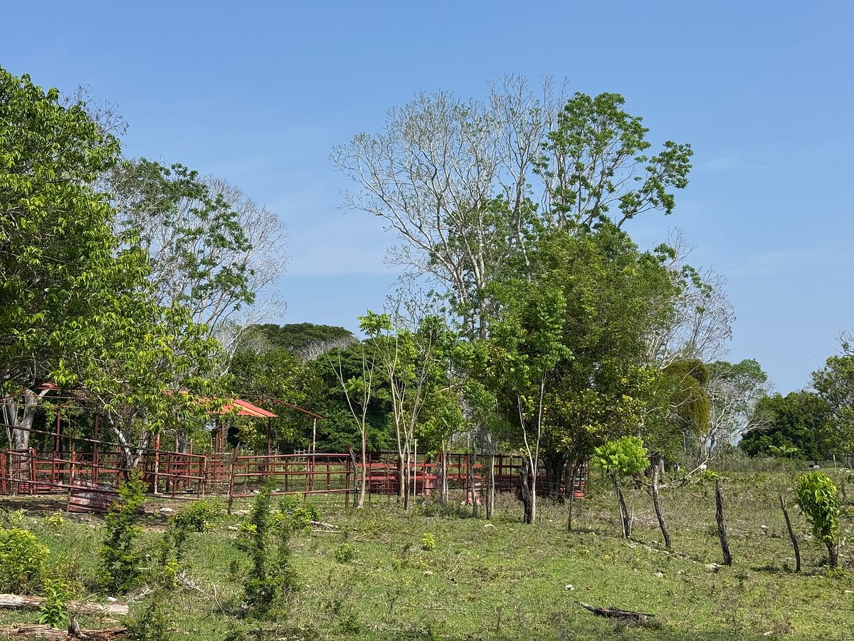 Rancho en Sabancuy, Carmen, foto 2 de 17