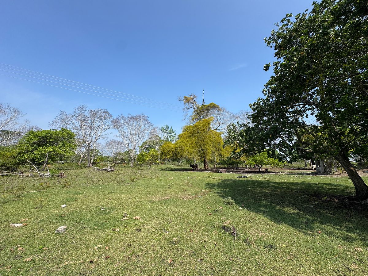 Rancho en Sabancuy, Carmen, foto 11 de 17