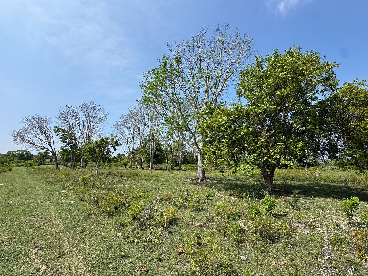 Rancho en Sabancuy, Carmen, foto 14 de 17