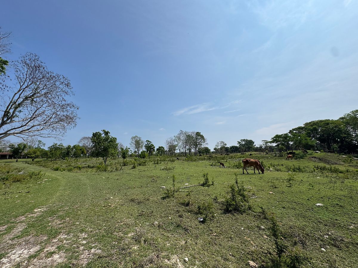 Rancho en Sabancuy, Carmen, foto 16 de 17