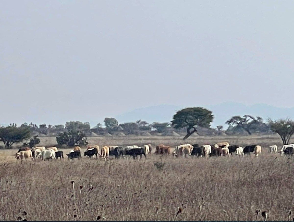 Lote comercial em Perez de Galeana, Apaxco, foto 39 de 43