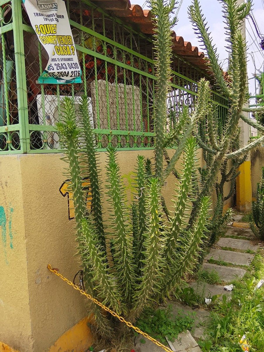 Casa en Chalco de Díaz Covarrubias Centro, Chalco, foto 2 de 23