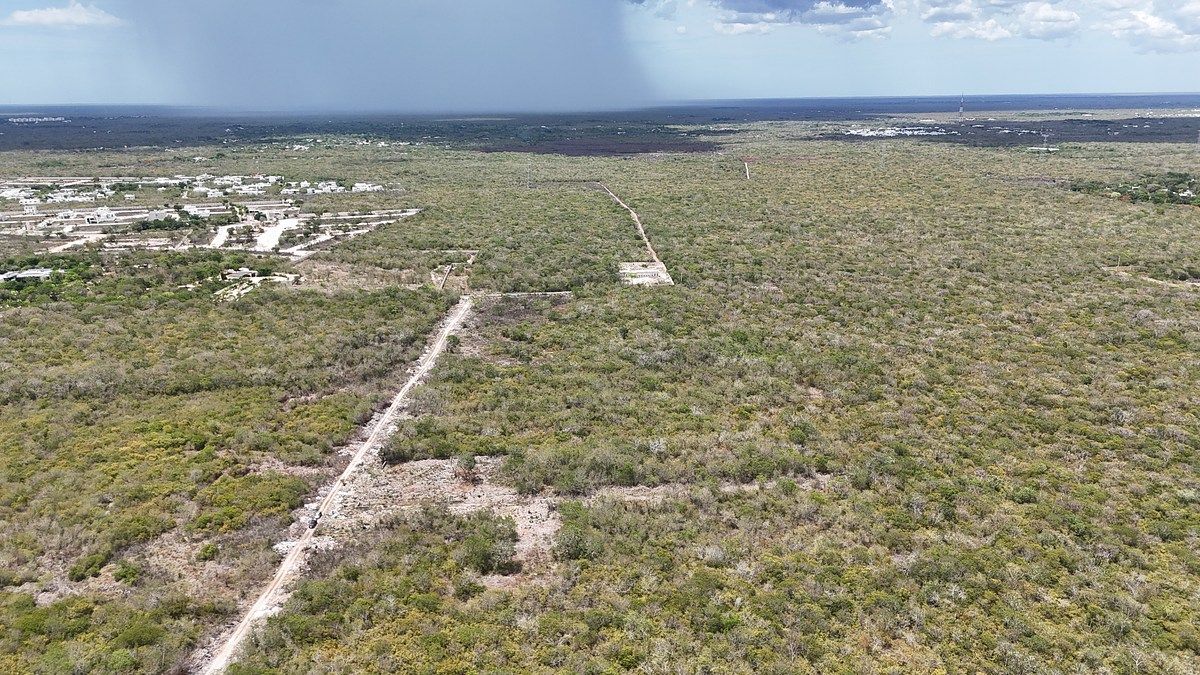 Lot in Temozón Norte, Mérida, photo 16 of 28