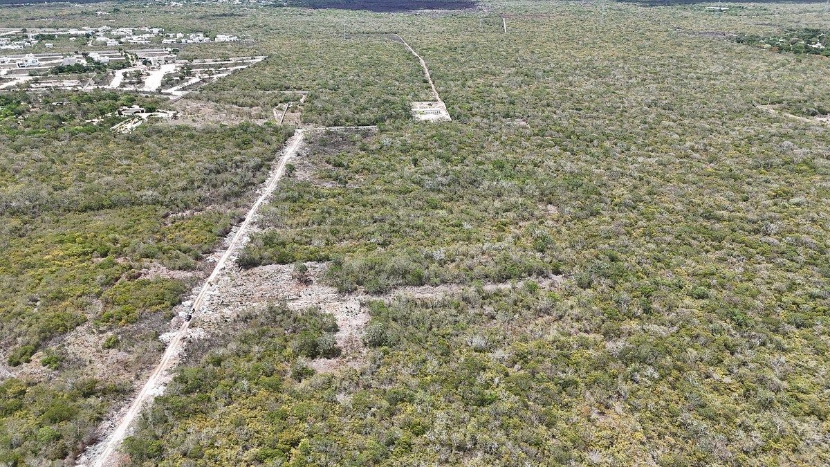 Lot in Temozón Norte, Mérida, photo 17 of 28