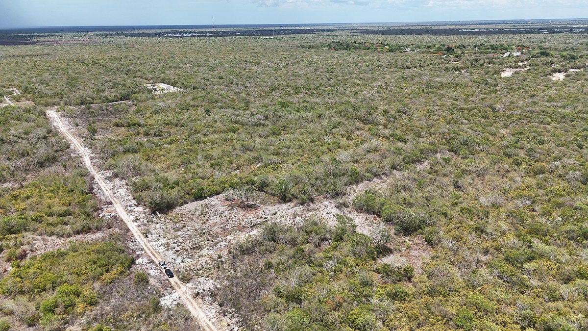 Lot in Temozón Norte, Mérida, photo 20 of 28